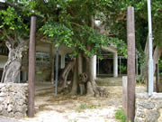 多良間村の風景