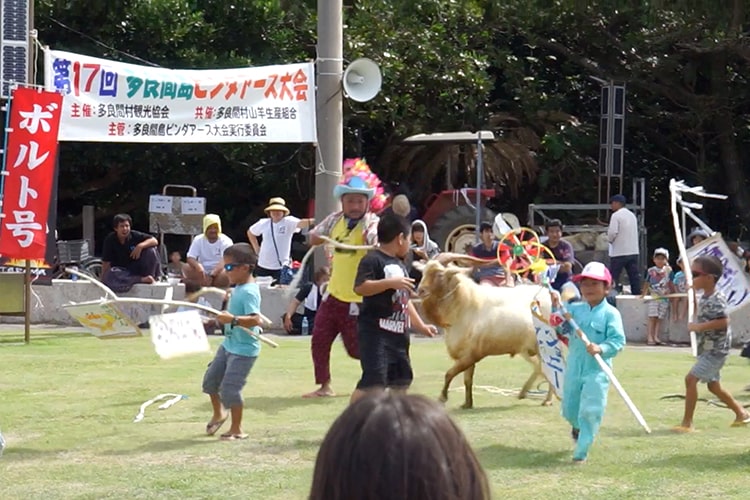 ヤギと子ども達が入場している様子