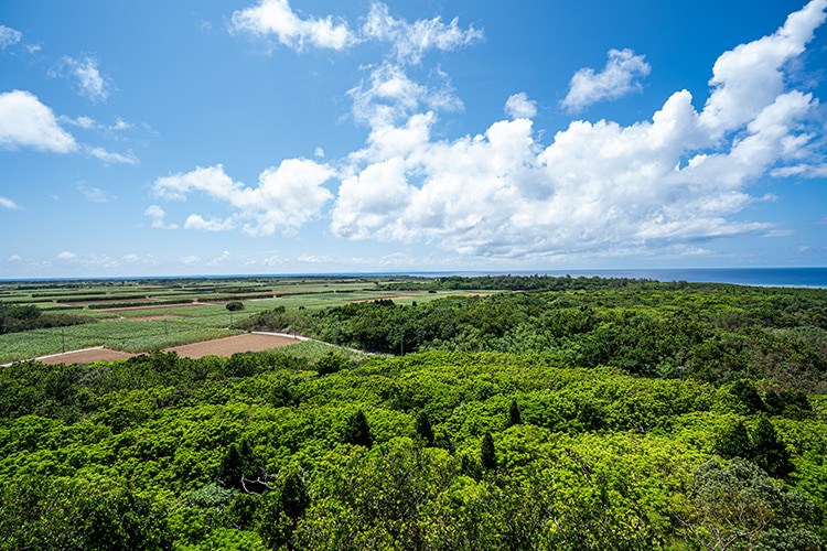 八重山遠見台公園からの景色