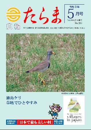 広報たらま令和3年３月号