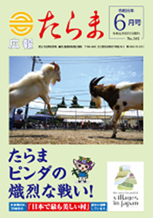 広報たらま平成31年度6月号